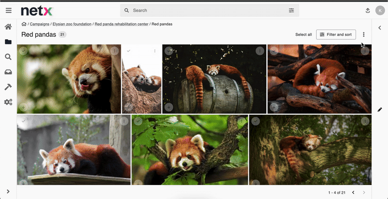 redpandafacetgallery.gif